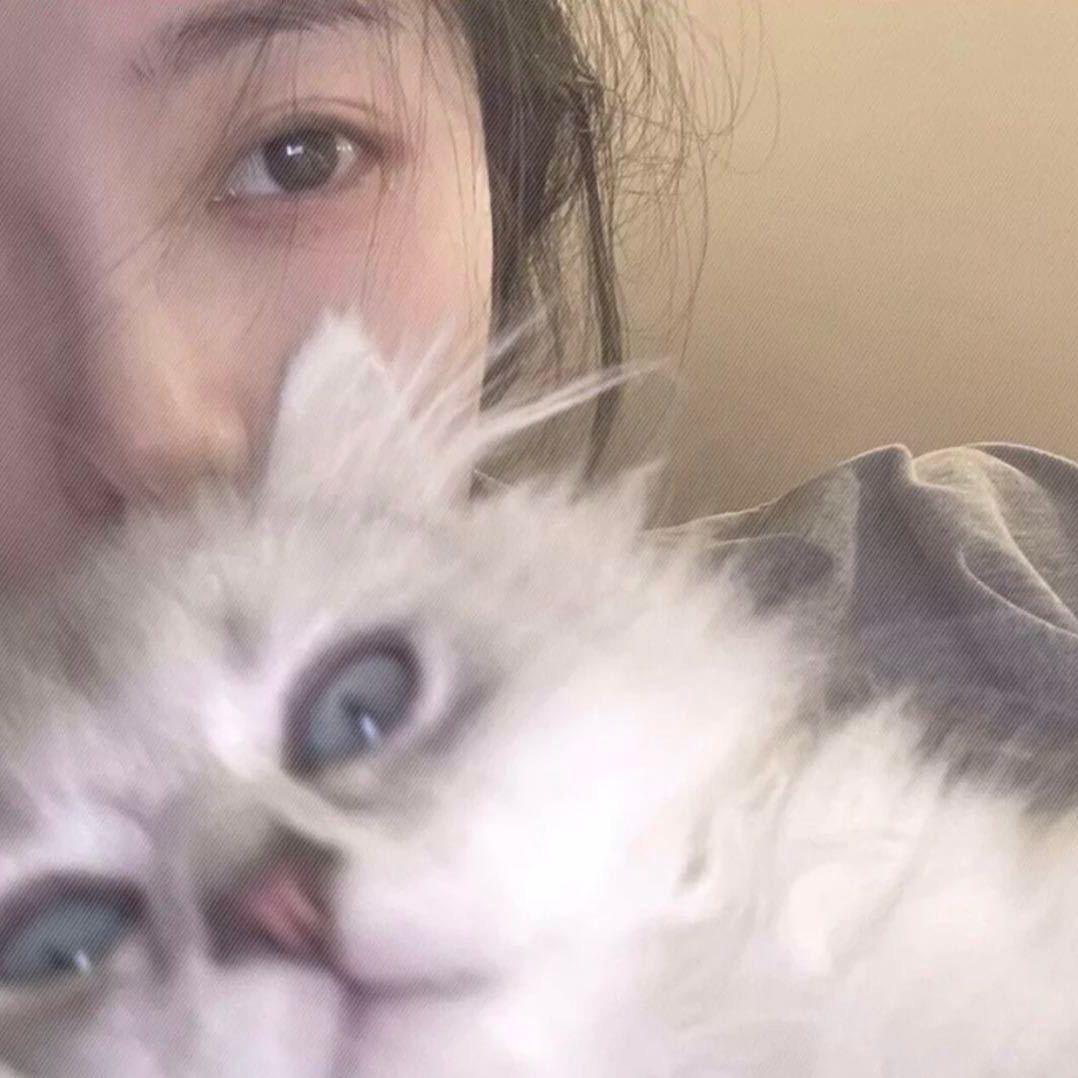 kitty_
