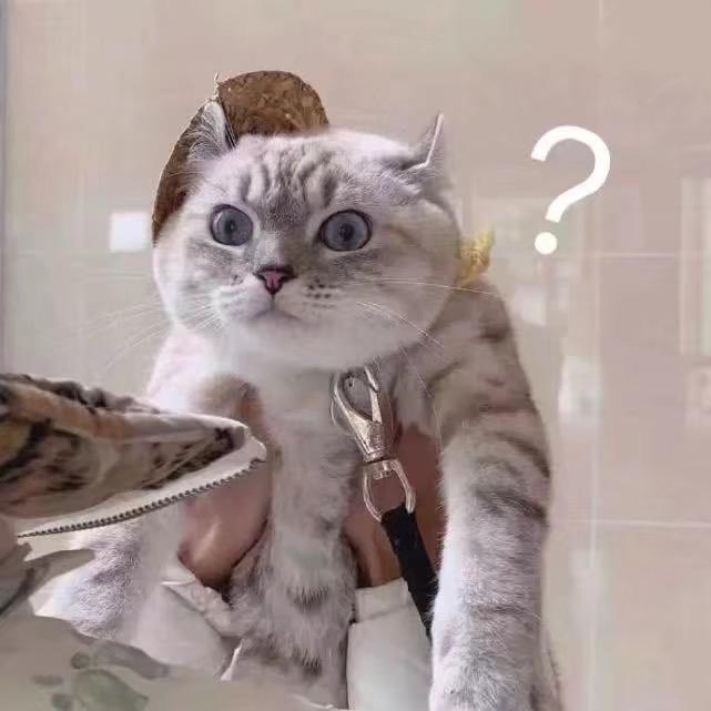 奇奇怪怪