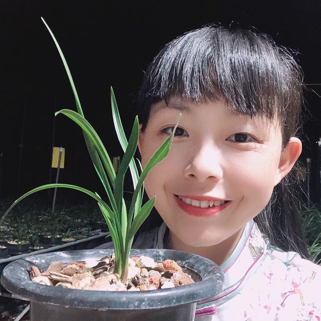 小雅兰花