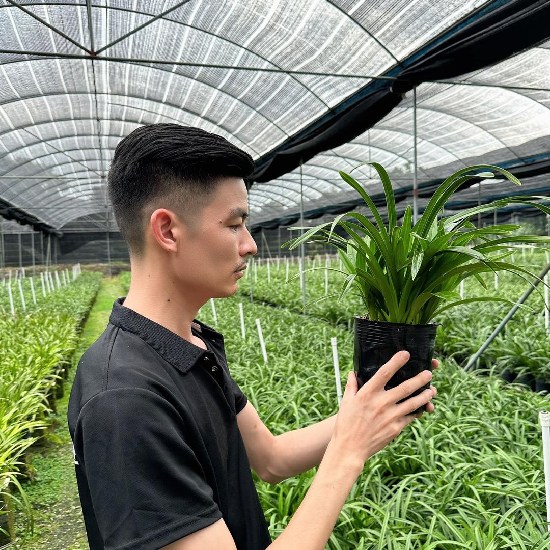广东龙轩兰业