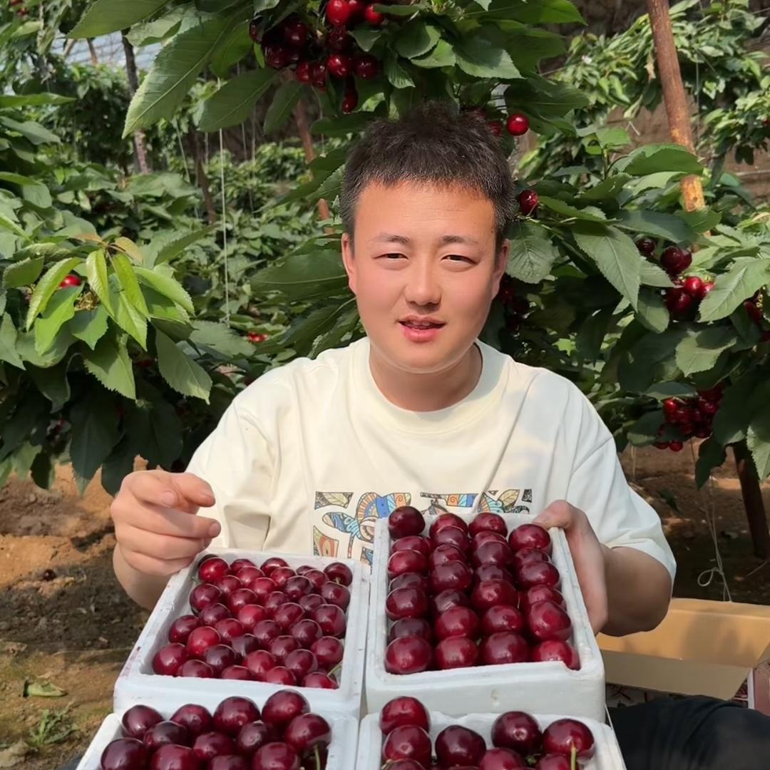 多米生鲜小白大连海鲜