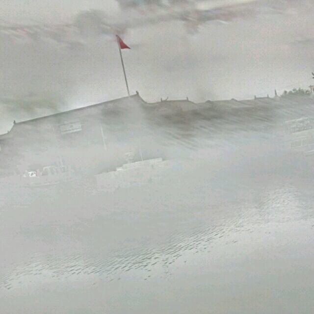 Z D