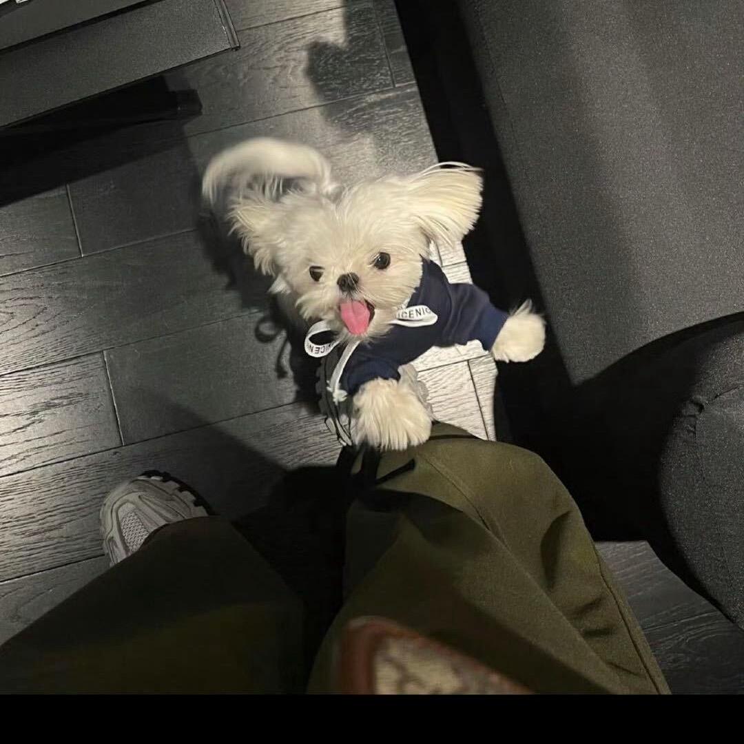 唔昂王.