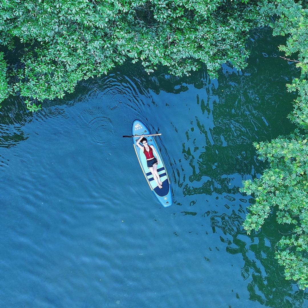鲸游记
