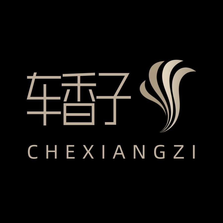 车香子汽车精品店