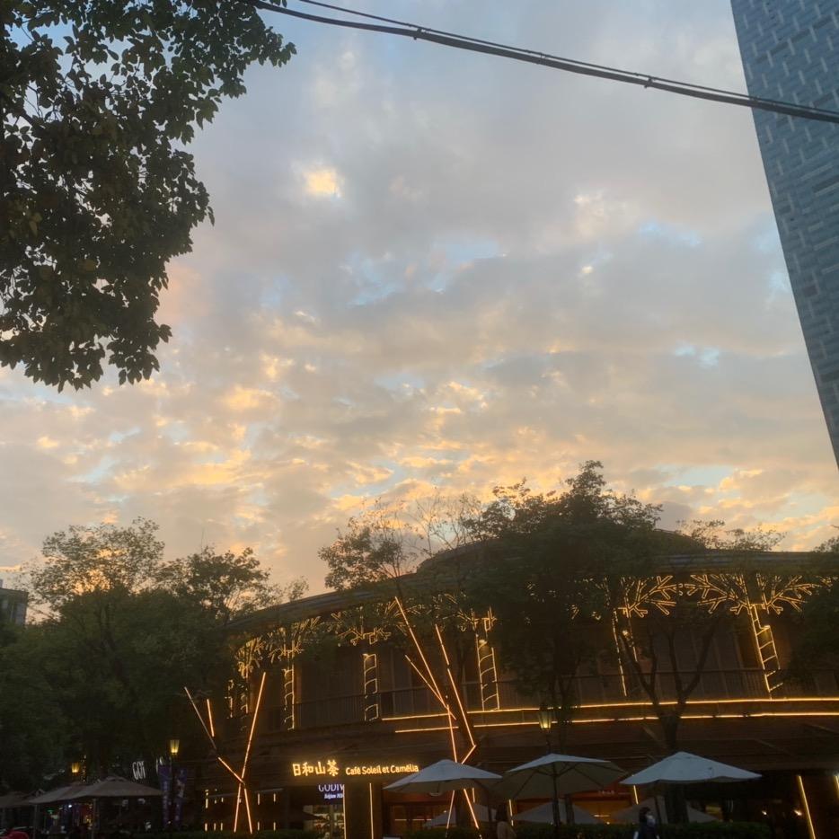 寻找25号底片……