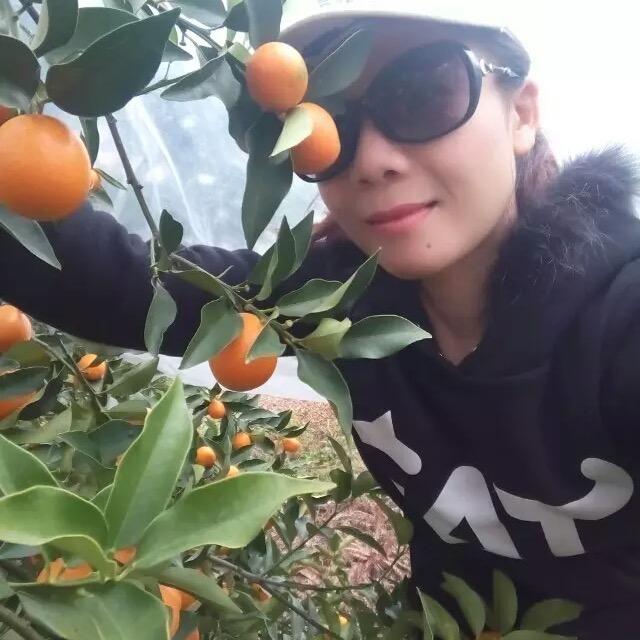 一只念福的小猴猴🐒