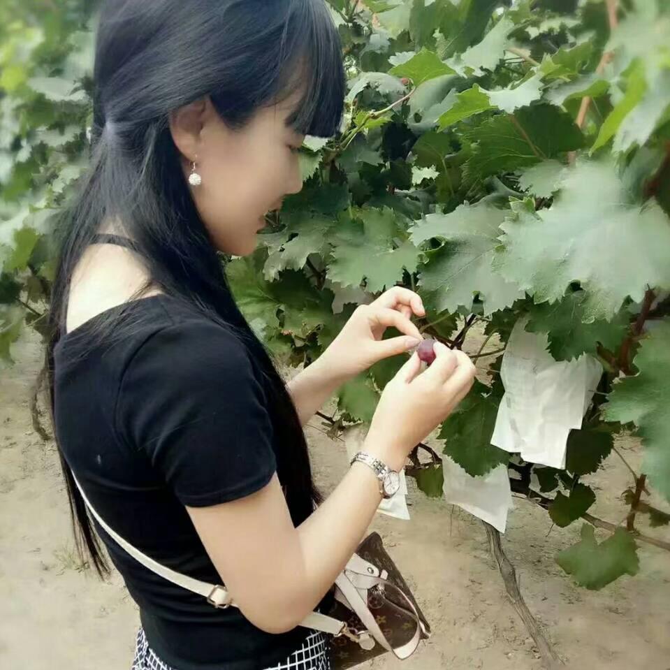 小米饭💋