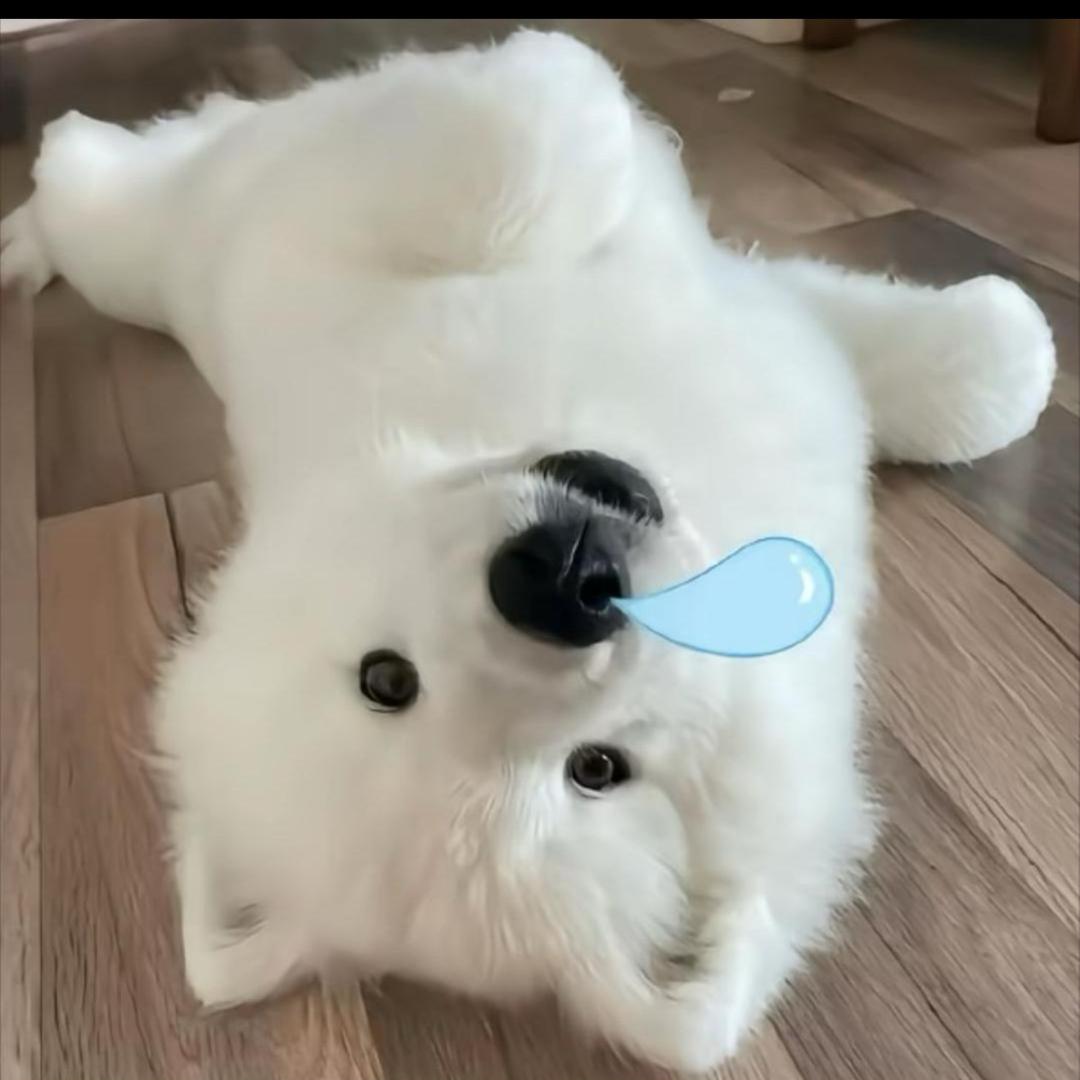 钵仔糕（面包版