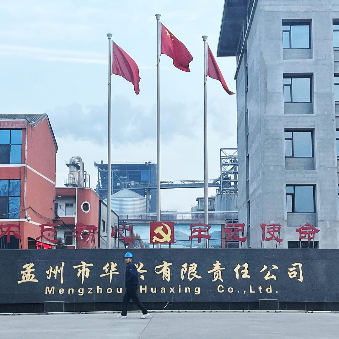 孟州玉米接货张万金🌽