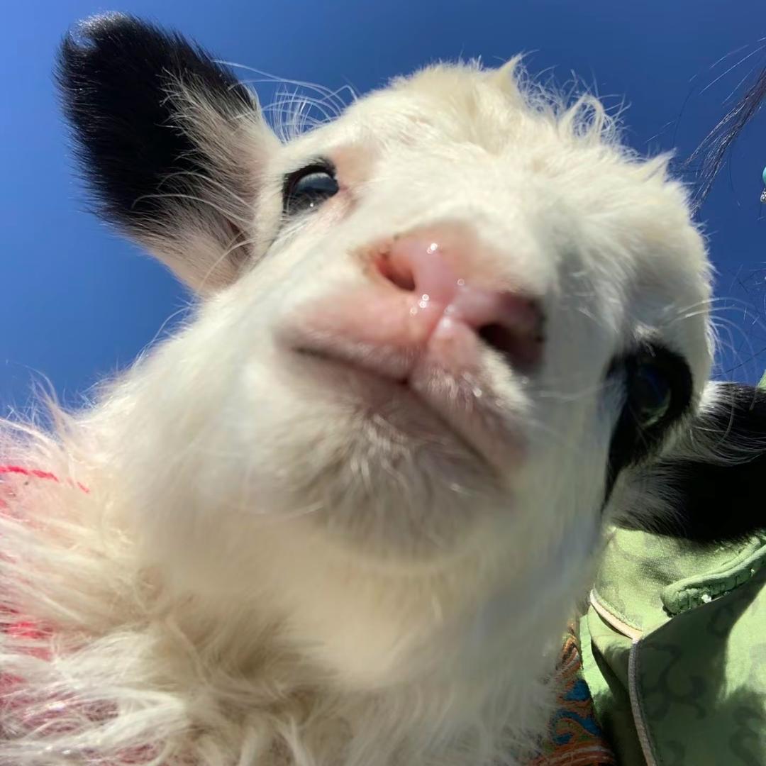 时来运转啊啊啊