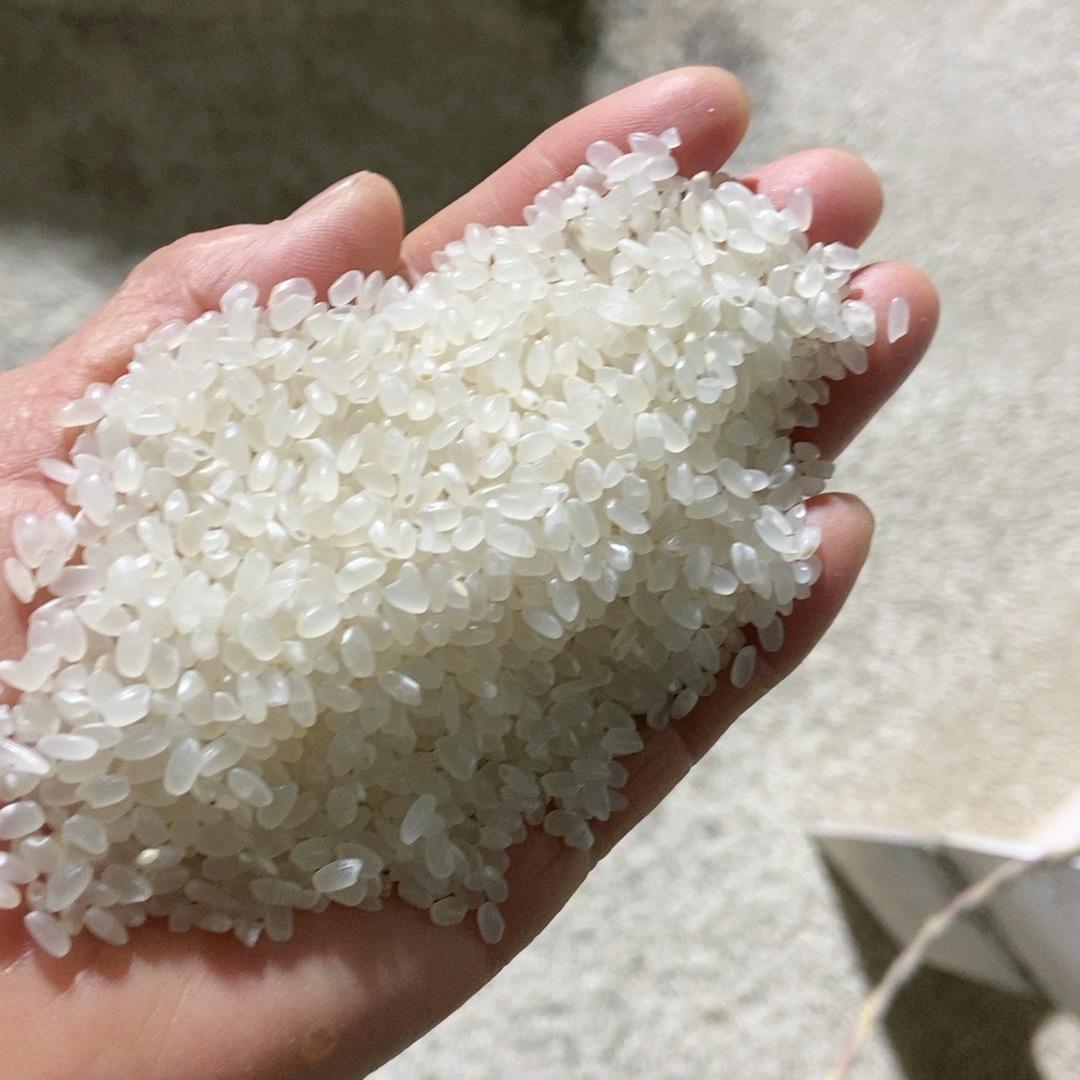 连云港凯龙米业有限公司