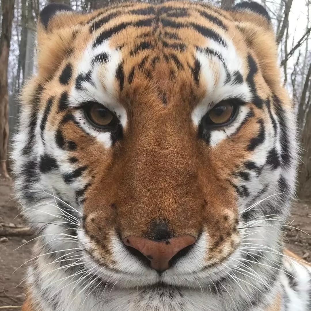 你他妈才斤斤计较