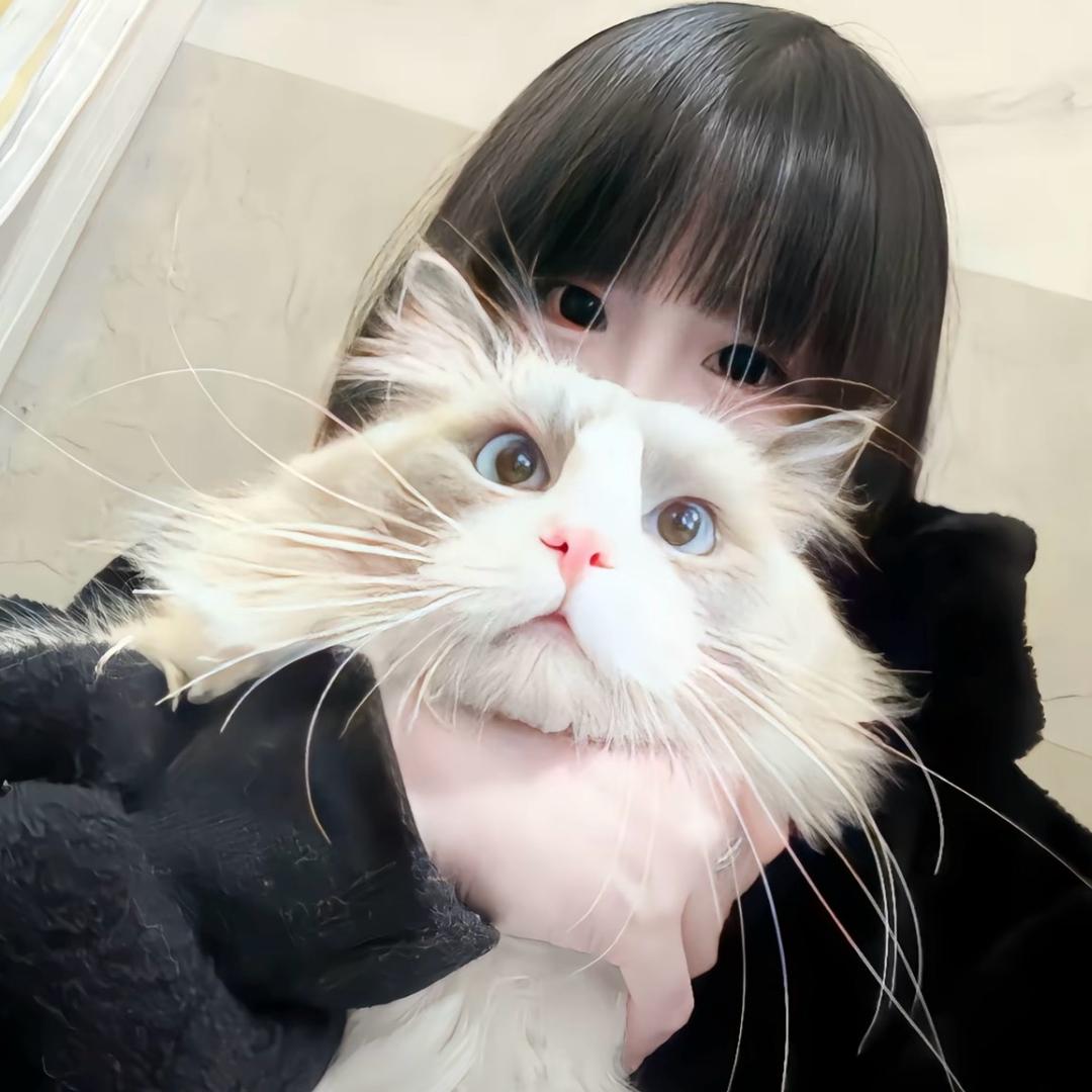 小杨