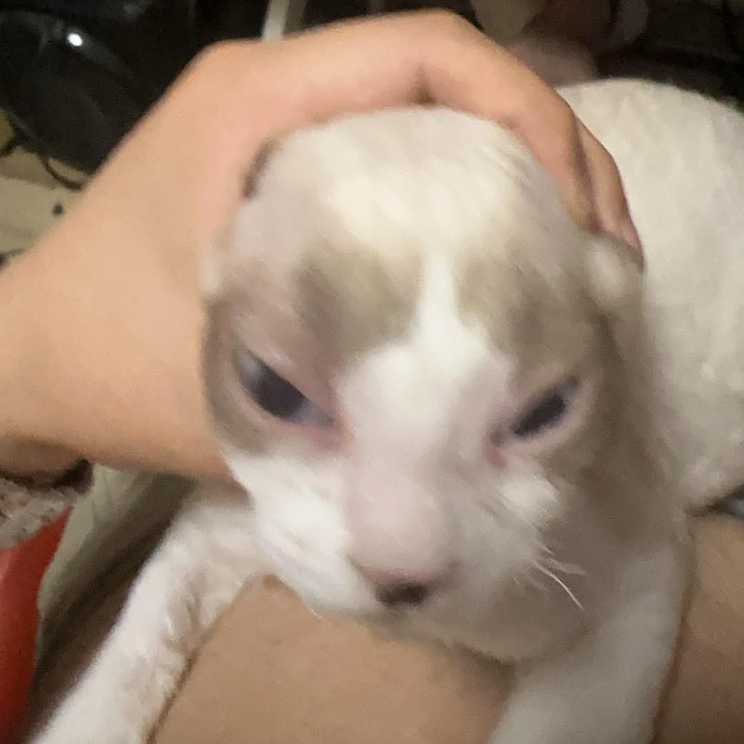 知秋