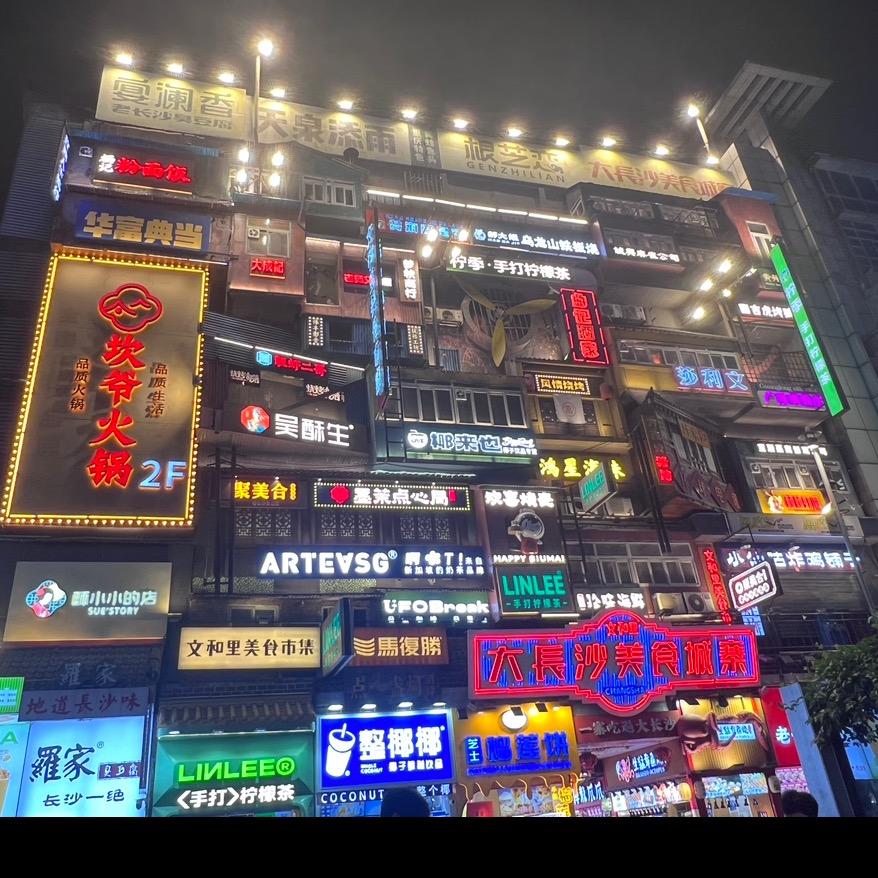 逆光飞翔