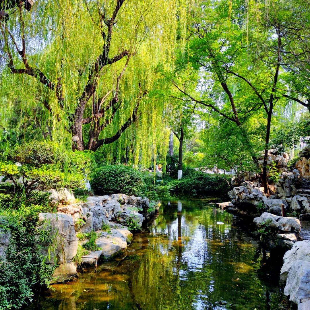 艳阳天