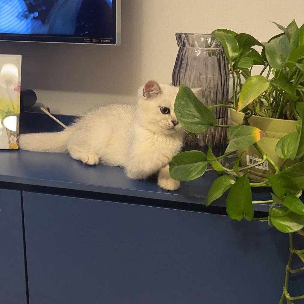 宋忠堂@每天挣100米