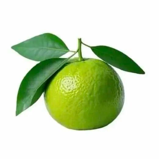 小小薯塔~（梨形穿搭）