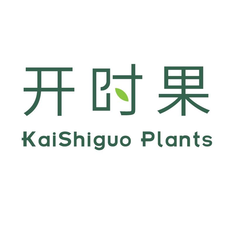 万卉盆景基地直发
