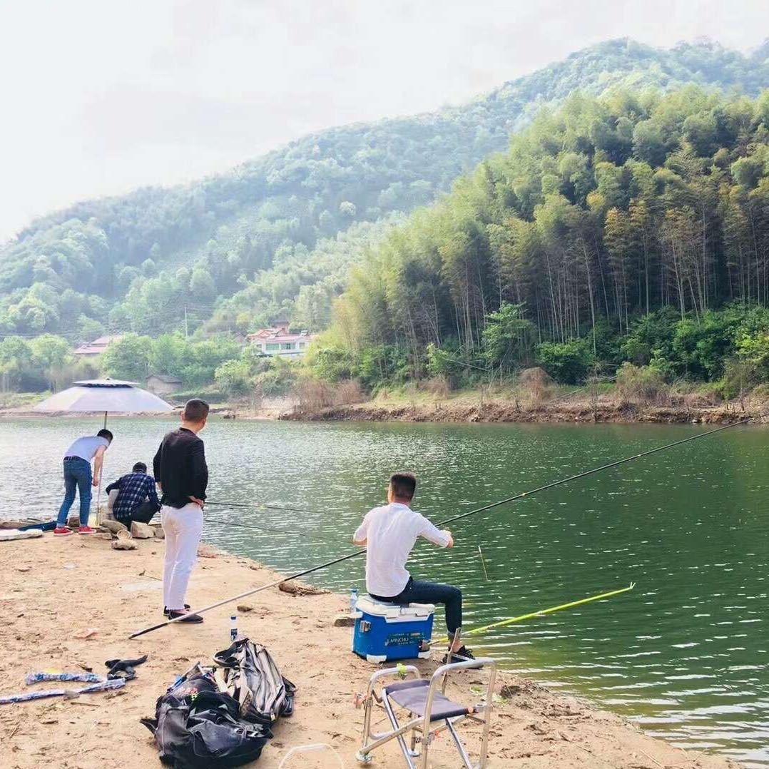 南飞