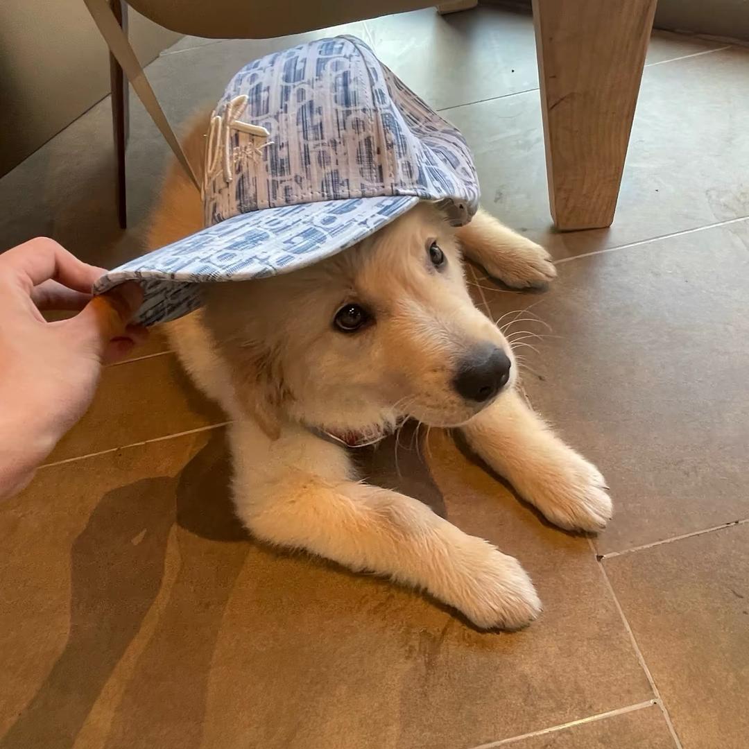 多多 ﾠ