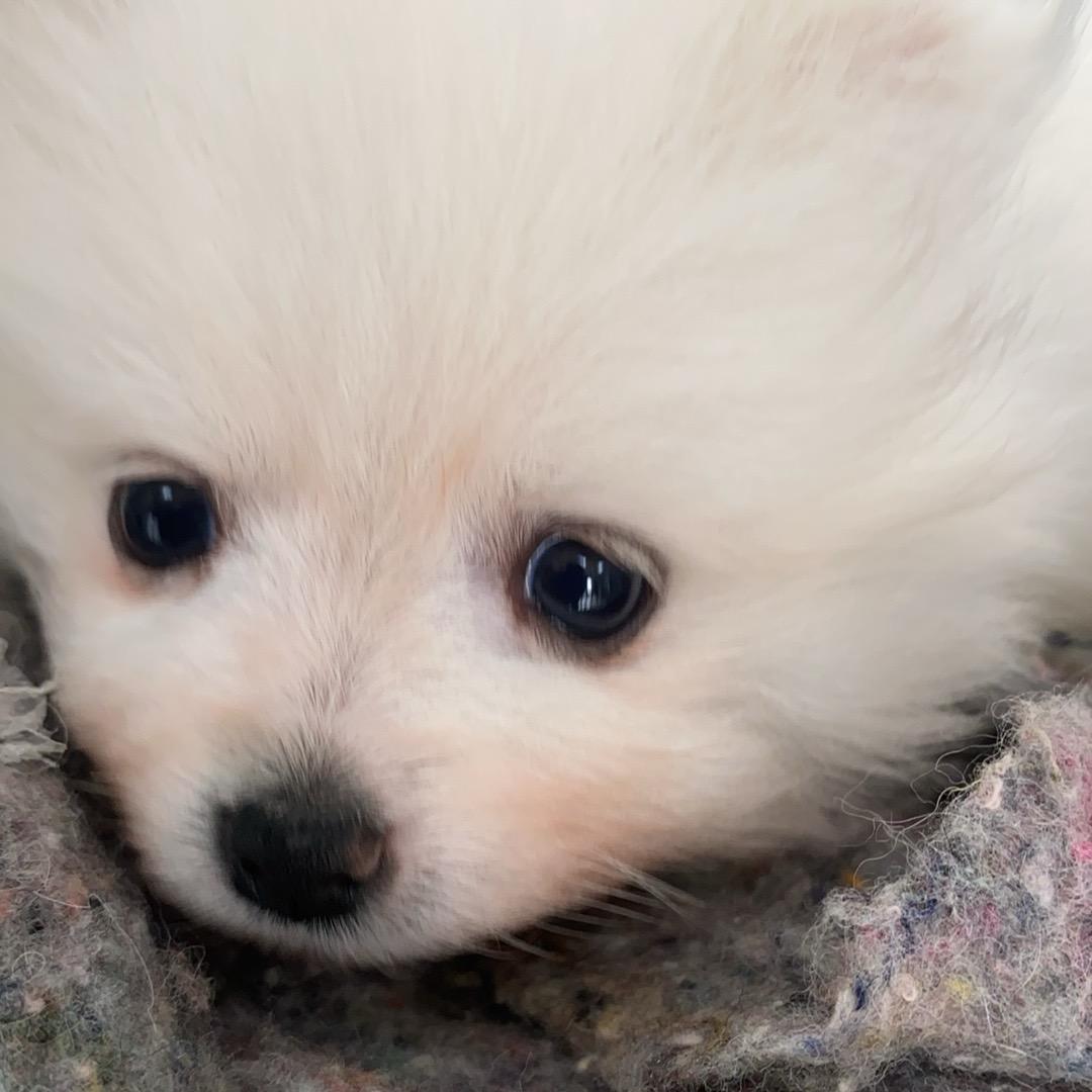 有风无风都不自由