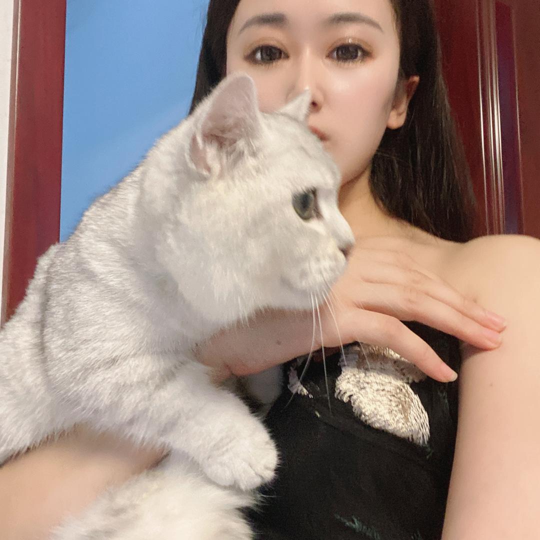 小绵羊🐑