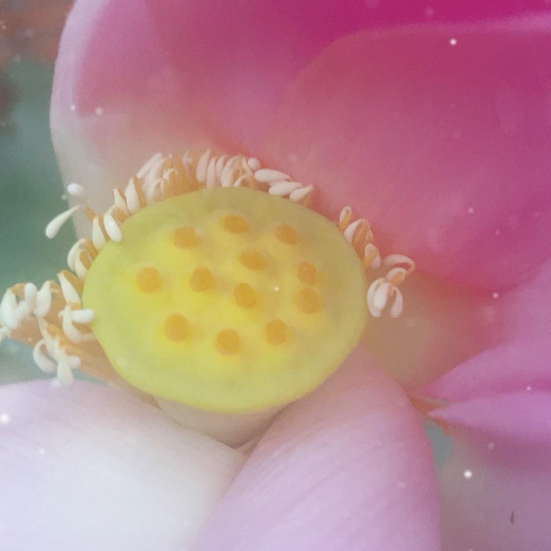 酒仙为人醉小号