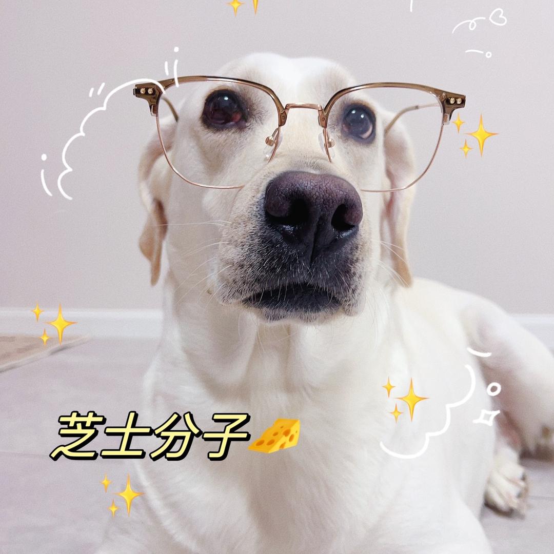 波妞公主👑日记本💕