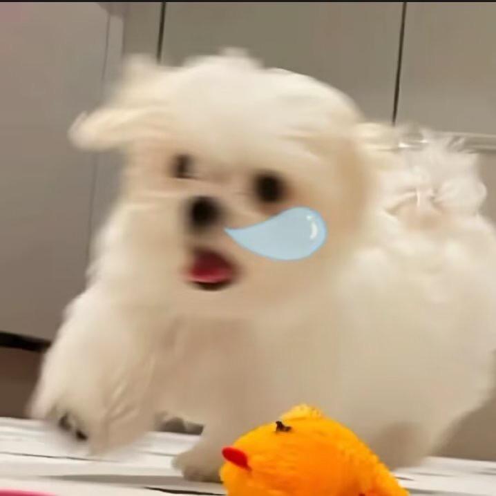 蛋黄薏米粥^