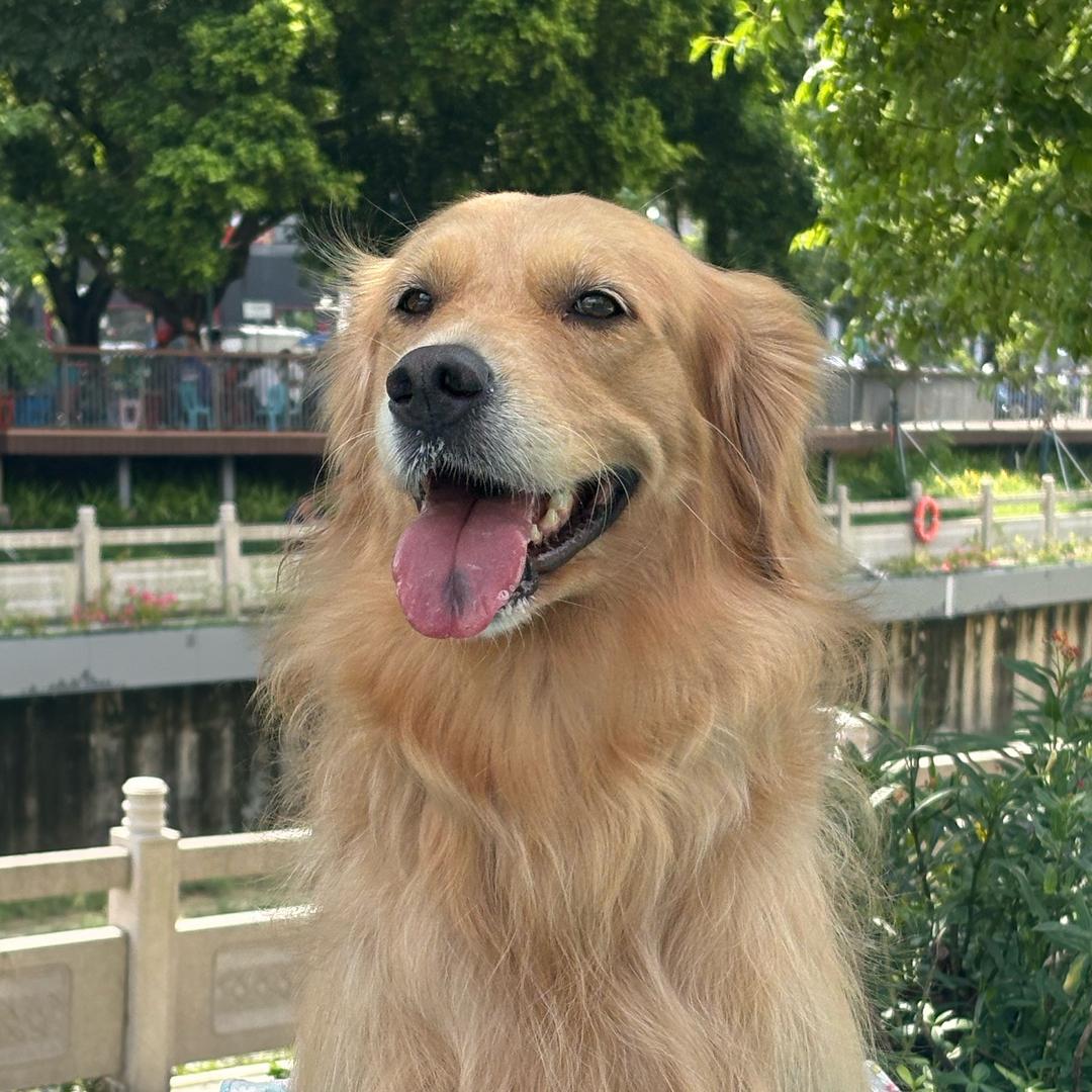 叫七月🐶