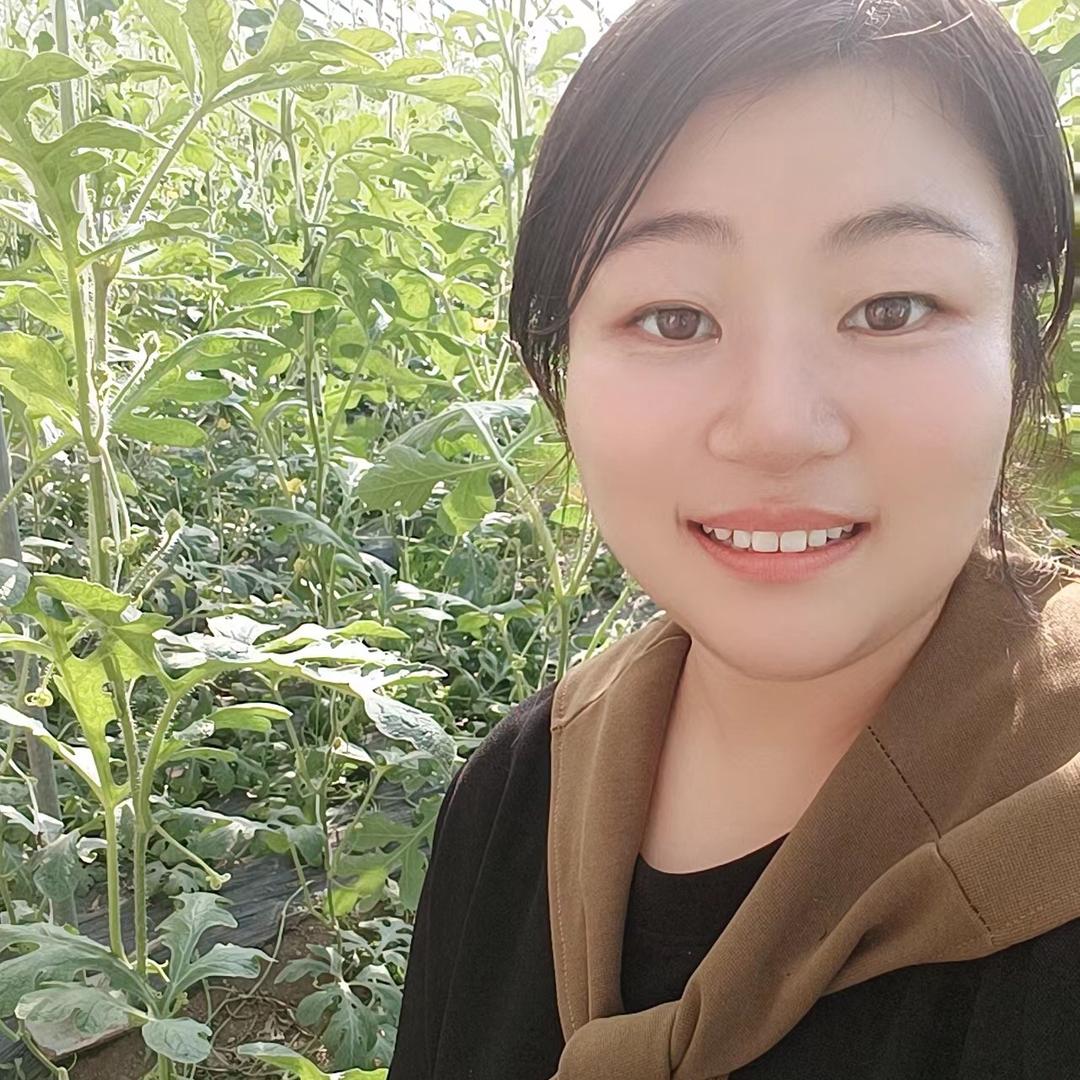 鲁丰农资厂家企业店农技