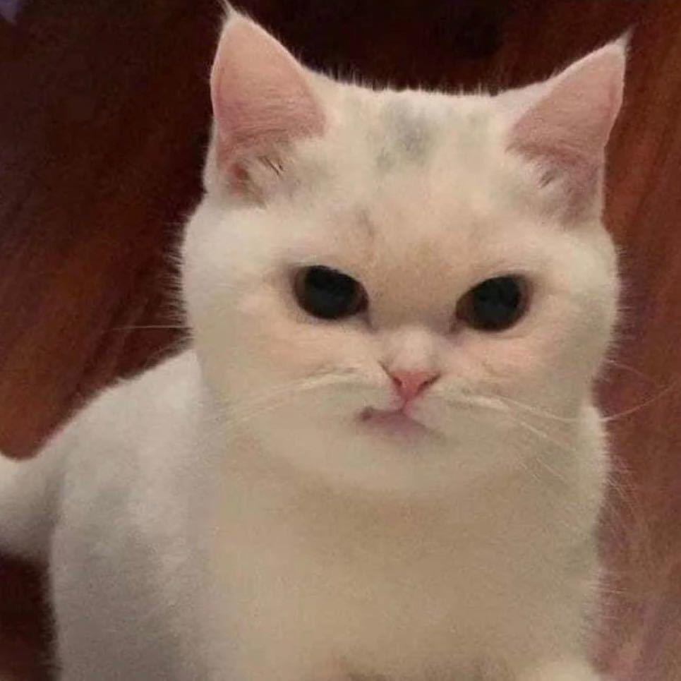 柚_