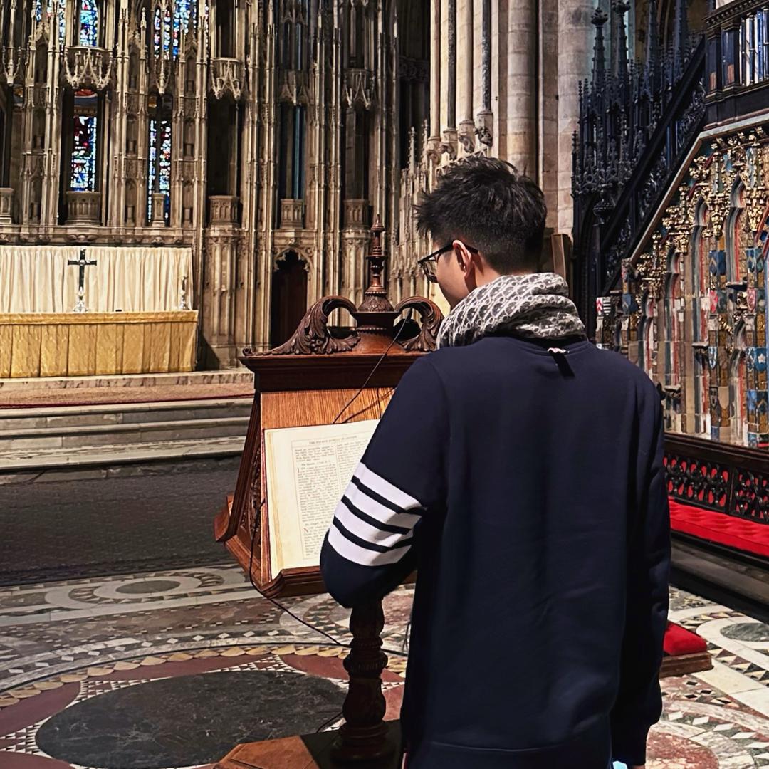 杠崽不是杠精💥