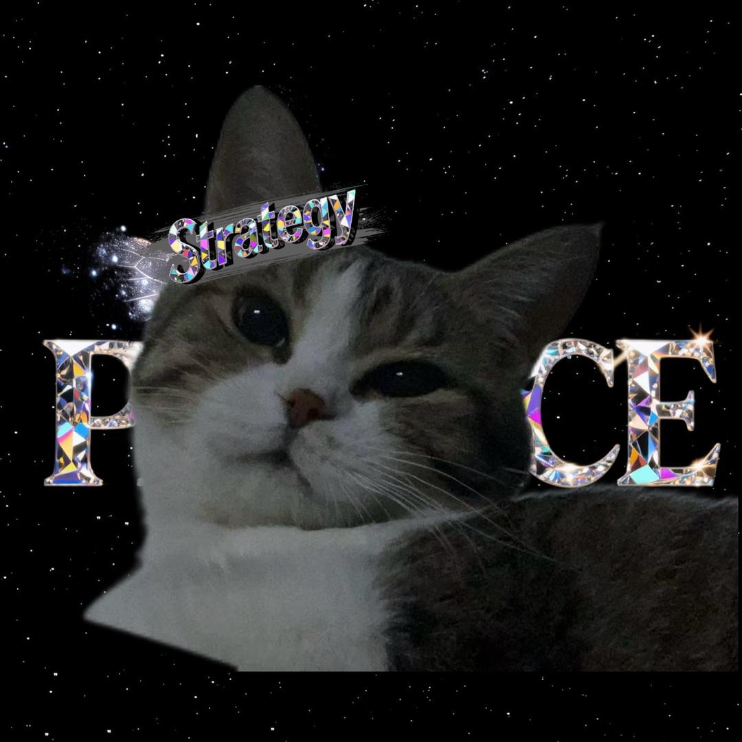 𝓓.20