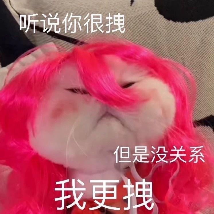一只平安喵。