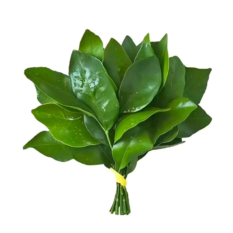 ZzJjYi