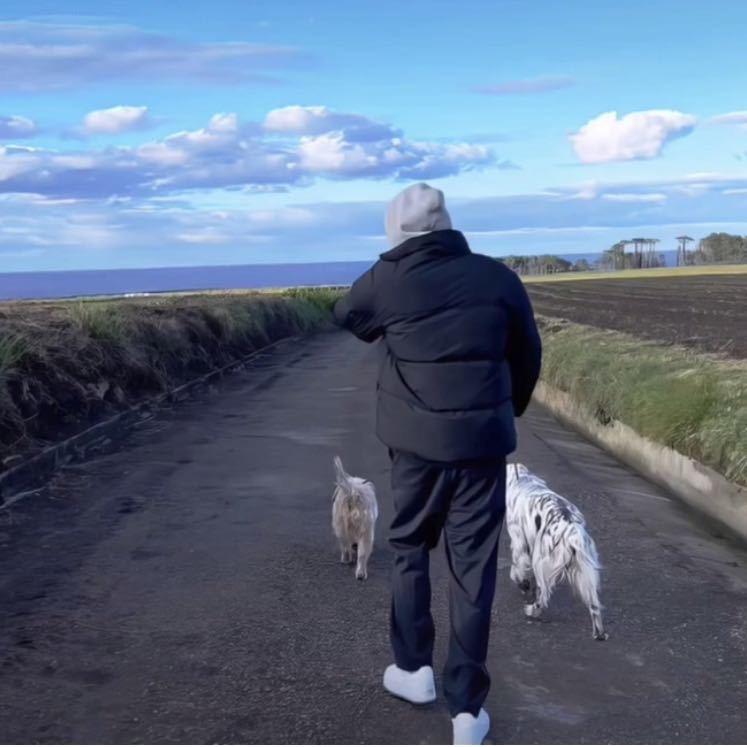 原味夹心奥利奥