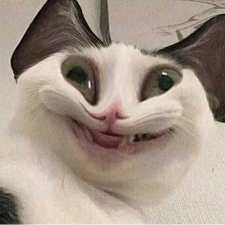 N1ck
