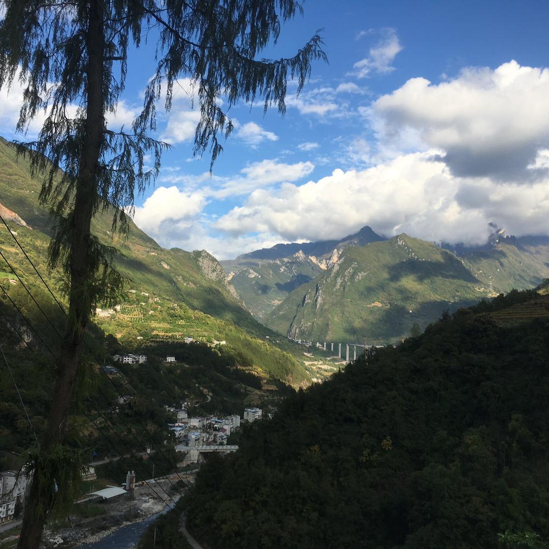 棒锤别和我说话