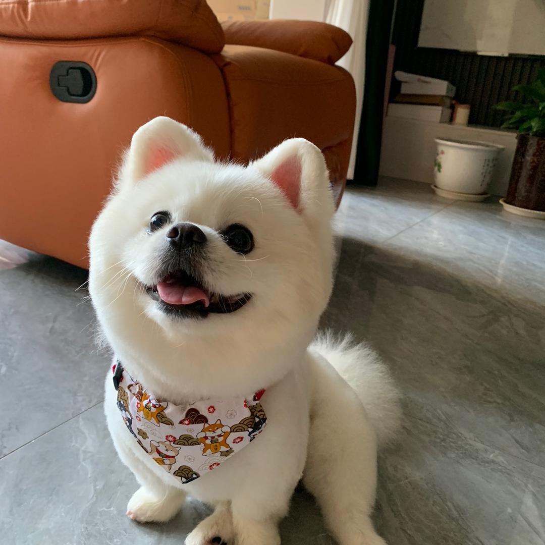 向日葵🌻的妈妈