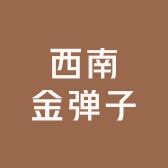 西南金弹子