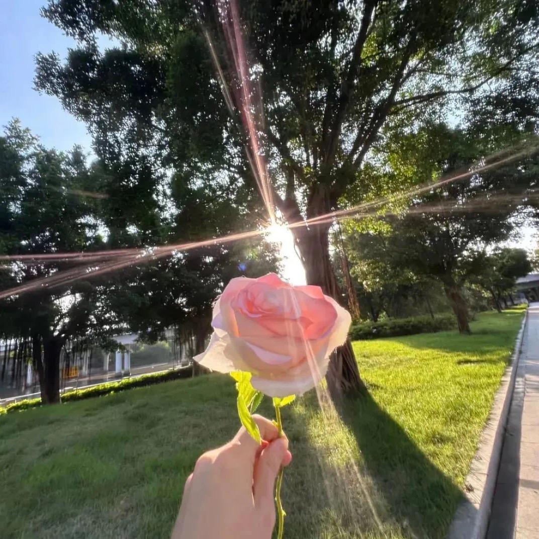 🫧早起太烦恼☄️