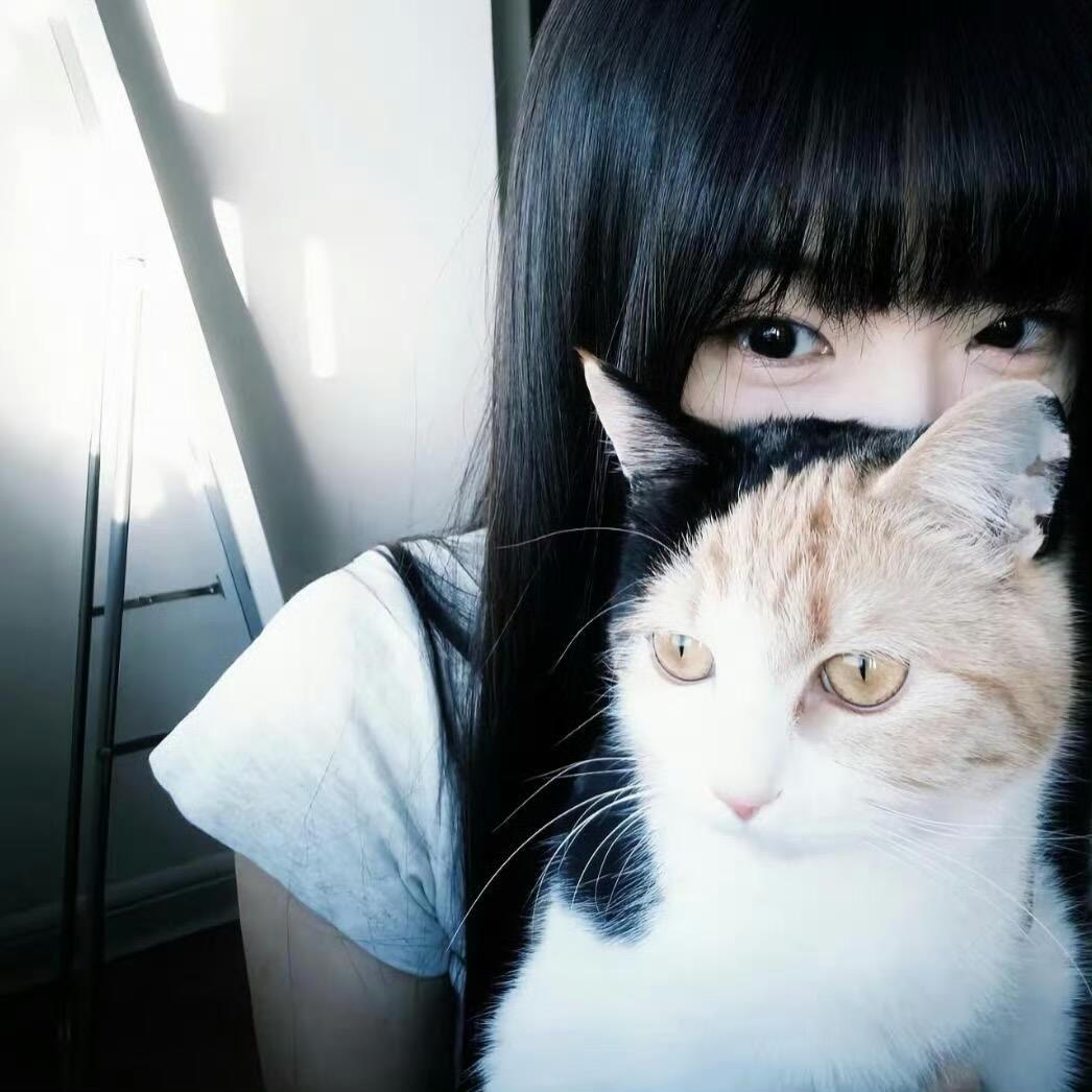 苹果猫