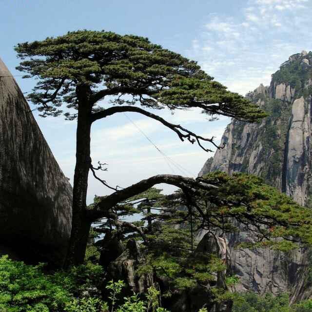 火火