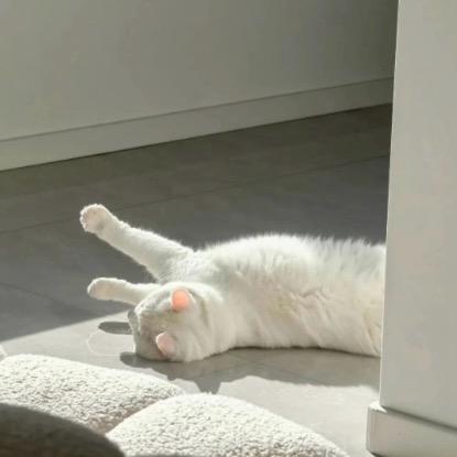 玺人
