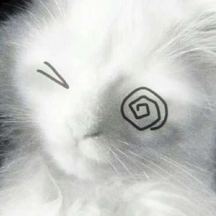 kitty!