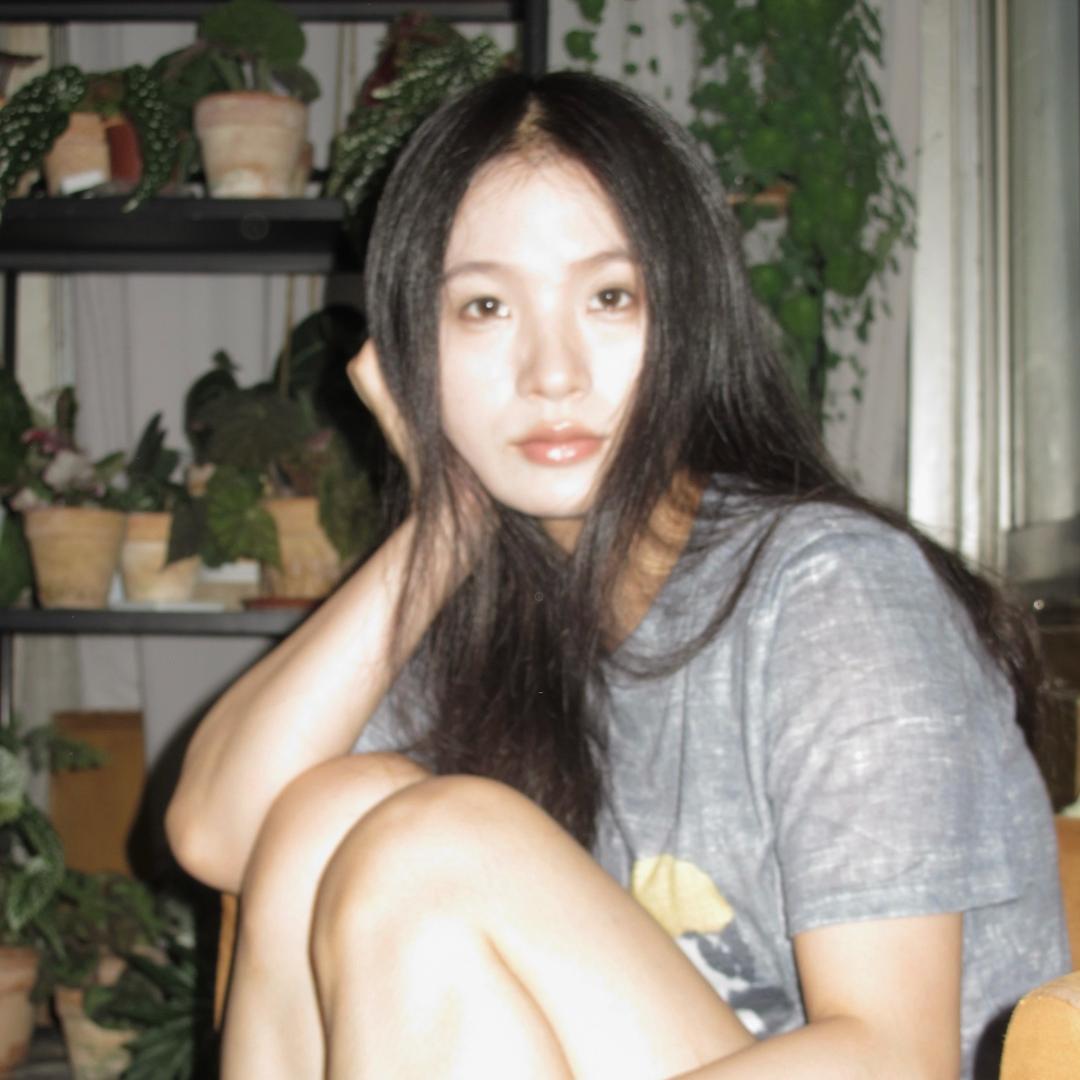 一株榆木