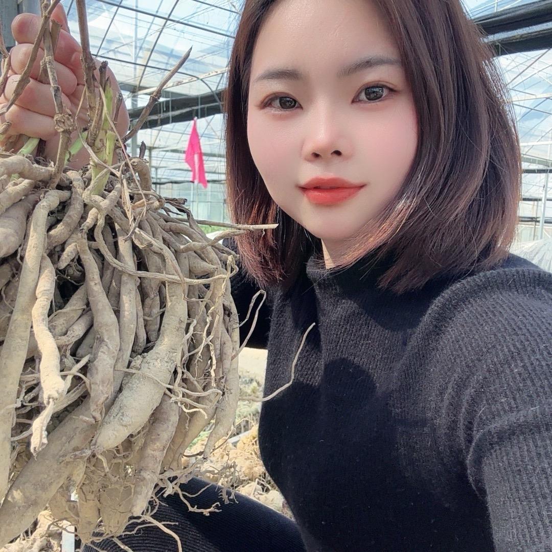 湖南中药材种植彭彭